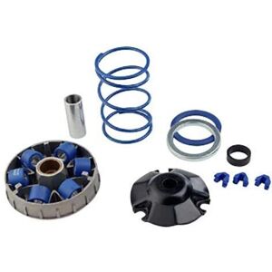 Polini Hi-Speed Variator - Piaggio Zip - High-Performance Scooter Part Polini Hi-Speed Variator - Piaggio Zip - High-Performance Scooter Part