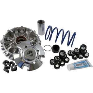 Variatore Polini Maxi Speed Yamaha TMax 500cc - Massima Performance Variatore Polini Maxi Speed Yamaha TMax 500cc - Massima Performance
