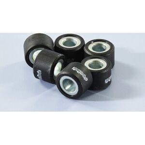 Polini 242.248 Rouleaux pour Scooter Daelim 125 Sl Polini 242.248 Rouleaux pour Scooter Daelim 125 Sl