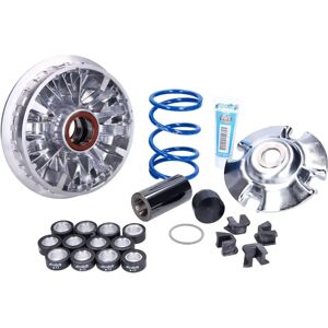 Variatore Polini Max-Speed per Honda SH 350 - 12 Rulli Variatore Polini Max-Speed per Honda SH 350 - 12 Rulli
