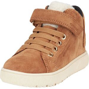 GEOX Theleven Cognac Sneakers - Sneakers and boots GEOX Theleven Cognac Sneakers - Sneakers and boots
