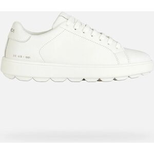 GEOX D Spherica Ecub-1 B White Sneaker - Sneaker GEOX D Spherica Ecub-1 B White Sneaker - Sneaker