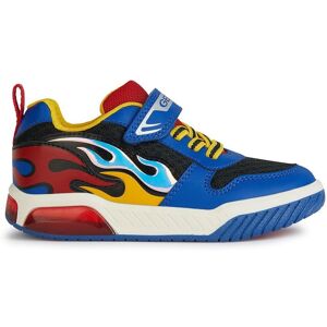 Geox Inek Chłopiec - Niebieskie/Czerwone Buty Geox Inek Chłopiec - Niebieskie/Czerwone Buty