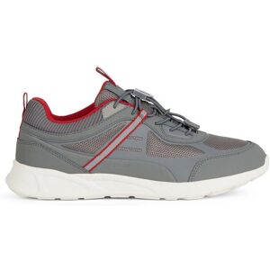 Geox Sanzio Gray Shoes - Shoes Geox Sanzio Gray Shoes - Shoes