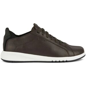 GEOX Aerantis Mörkbruna/Svarta Herrskor - Sneakers GEOX Aerantis Mörkbruna/Svarta Herrskor - Sneakers