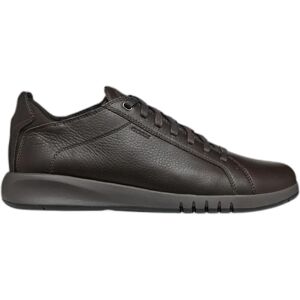GEOX Aerantis Herren Dunkelbraune Sneaker - Schuh GEOX Aerantis Herren Dunkelbraune Sneaker - Schuh