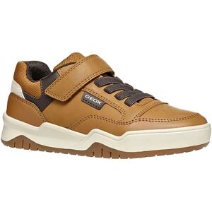 Geox C2286 Brown Sneakers - Shoe Type Geox C2286 Brown Sneakers - Shoe Type