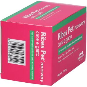 N.B.F. Lanes Ribes Pet Recovery - Supporto cutaneo per cani e gatti - 60 Perle N.B.F. Lanes Ribes Pet Recovery - Supporto cutaneo per cani e gatti - 60 Perle