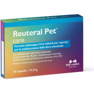 N.B.F. LANES Srl Reuteral Pet Cane Probiotici - Integratore per cani N.B.F. LANES Srl Reuteral Pet Cane Probiotici - Integratore per cani