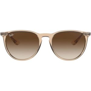 Ray-Ban Erika Color Mix RB4171 - 651413 Ray-Ban Erika Color Mix RB4171 - 651413