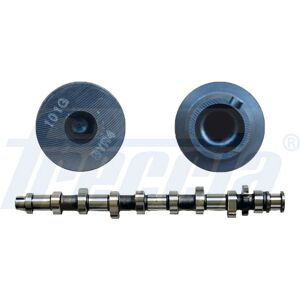 FRECCIA CM05-2191 Árbol de levas - Timing Camshaft FRECCIA CM05-2191 Árbol de levas - Timing Camshaft