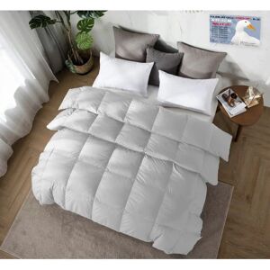 TEX FAMILY - Piumino oca Stream - 150 g/m2 - Duvet TEX FAMILY - Piumino oca Stream - 150 g/m2 - Duvet