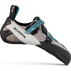 Scarpa Veloce Lightgray - Indoor Kletterschuhe Scarpa Veloce Lightgray - Indoor Kletterschuhe