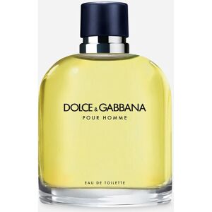 Dolce & Gabbana Pour Homme - Perfume para Hombres Dolce & Gabbana Pour Homme - Perfume para Hombres