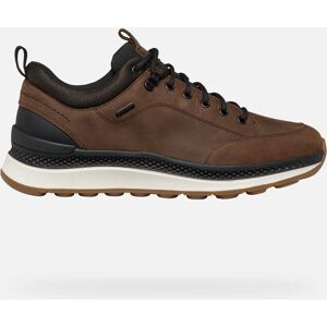 Geox Spherica Actif X2 ABX Chaussures imperméables - Publicité Geox Spherica Actif X2 ABX Chaussures imperméables - Publicité