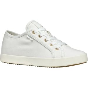 Geox Blomiee White Sneakers - Breathable, Minimalist, Durable - Sneakers Geox Blomiee White Sneakers - Breathable, Minimalist, Durable - Sneakers