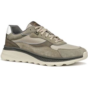 GEOX X1 Beige/Verde Salvia Scarpe - Sneakers GEOX X1 Beige/Verde Salvia Scarpe - Sneakers