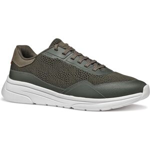 Geox Klaiver Khaki Sneakers - Sneakers Geox Klaiver Khaki Sneakers - Sneakers