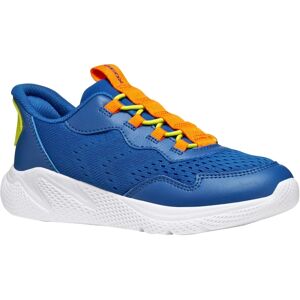 GEOX Sprintye Fast In Blue Royal/Orange - Sneakers GEOX Sprintye Fast In Blue Royal/Orange - Sneakers