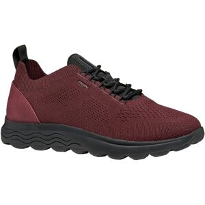 GEOX Spherica Men Bordeaux/Black Sneakers - Sneakers GEOX Spherica Men Bordeaux/Black Sneakers - Sneakers