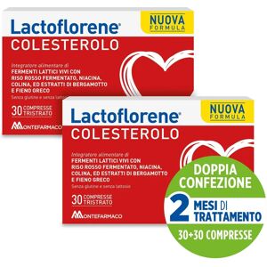 Montefarmaco OTC SpA Lactoflorene Colesterolo - Supporto al Colesterolo Montefarmaco OTC SpA Lactoflorene Colesterolo - Supporto al Colesterolo
