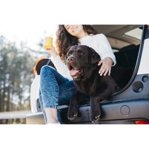 Datex Car Seat Cover - Waterproof, Black, 140x147cm Datex Car Seat Cover - Waterproof, Black, 140x147cm