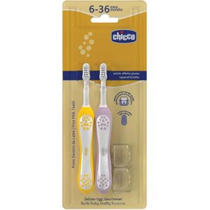 Chicco Baby Toothbrushes - 6-36m - Two Pack Chicco Baby Toothbrushes - 6-36m - Two Pack