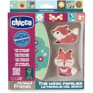 Chicco Modèle 00012208600000 - Jouet éducatif - Publicité Chicco Modèle 00012208600000 - Jouet éducatif - Publicité