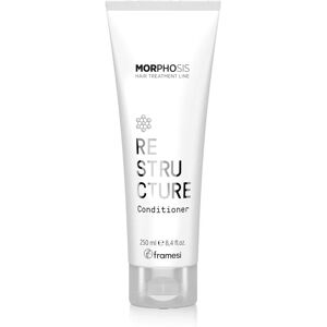 Framesi Restructure Conditioner 250ml - Conditioner Framesi Restructure Conditioner 250ml - Conditioner