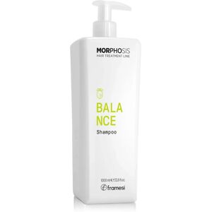Shampoo Balance Morphosis de Framesi - Pour cuir chevelu gras - Publicité Shampoo Balance Morphosis de Framesi - Pour cuir chevelu gras - Publicité