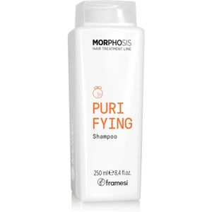 Framesi Morphosis Zuiverende Shampoo 250ml - Schilferverwijdering Framesi Morphosis Zuiverende Shampoo 250ml - Schilferverwijdering