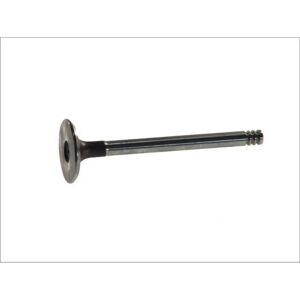 FRECCIA R3646/S Inlaatklep voor VW, AUDI FRECCIA R3646/S Inlaatklep voor VW, AUDI