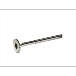 FRECCIA Ventil R3647/R für VW, AUDI, VOLVO - Ventil FRECCIA Ventil R3647/R für VW, AUDI, VOLVO - Ventil
