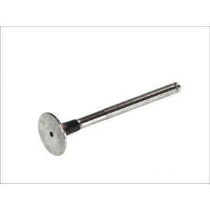 FRECCIA R4165/R Pakosylinteriventtiili - Moottorin osa FRECCIA R4165/R Pakosylinteriventtiili - Moottorin osa