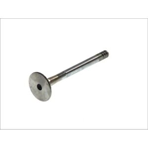 FRECCIA R4484/RCR Venttiili - 45° istuimen kulma, Kromattu varsi, 31,2 mm pää FRECCIA R4484/RCR Venttiili - 45° istuimen kulma, Kromattu varsi, 31,2 mm pää