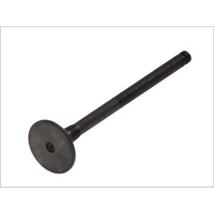 FRECCIA R6103/BMNT Venttiili - Nitridattu varsi, 34mm pää - Pakokaasu FRECCIA R6103/BMNT Venttiili - Nitridattu varsi, 34mm pää - Pakokaasu