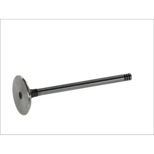 FRECCIA R6185/S Venttiili - 33,5mm, 6mm, 100,95mm - Venttiili FRECCIA R6185/S Venttiili - 33,5mm, 6mm, 100,95mm - Venttiili