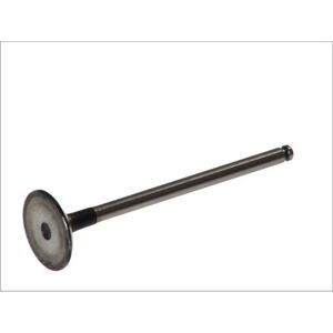 Ventil FRECCIA R6157/S - Vinkel 45° - Huvud 29,8mm - Stjälk 6mm - Stål Ventil FRECCIA R6157/S - Vinkel 45° - Huvud 29,8mm - Stjälk 6mm - Stål