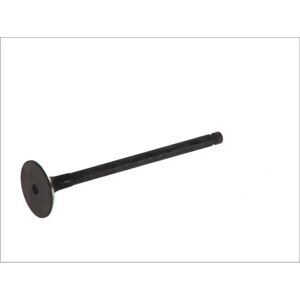 FRECCIA R6183/RNT Venttiili - Toyota RAV4 II, Avensis Verso, Avensis II FRECCIA R6183/RNT Venttiili - Toyota RAV4 II, Avensis Verso, Avensis II
