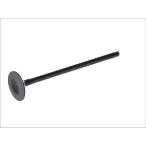 FRECCIA R6232/SNT Ventil - Nitrierter Stab, 30mm Kopf, 5,5mm Durchmesser - Ventil FRECCIA R6232/SNT Ventil - Nitrierter Stab, 30mm Kopf, 5,5mm Durchmesser - Ventil
