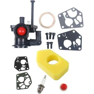 AIPERQ - 698369 - Briggs & Stratton compatible - Carburetor AIPERQ - 698369 - Briggs & Stratton compatible - Carburetor