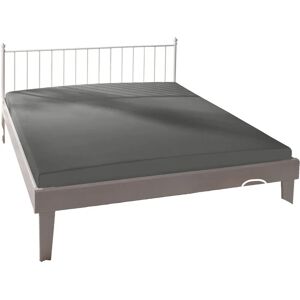 Bassetti Grey Cotton Jersey Fitted Sheet - Water Bed & Mattress 220cm Bassetti Grey Cotton Jersey Fitted Sheet - Water Bed & Mattress 220cm