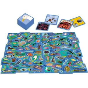Nathan 31316 Brettspiel - Lernen Nathan 31316 Brettspiel - Lernen