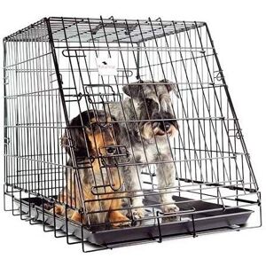 Ibáñez Modèle Ra0010 Cage Pliable pour Chiens - Haute Sécurité Ibáñez Modèle Ra0010 Cage Pliable pour Chiens - Haute Sécurité