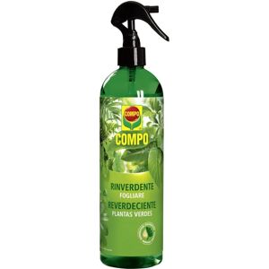 Compo - Fertilizzante fogliare 0,5L per piante - Brillantezza verde Compo - Fertilizzante fogliare 0,5L per piante - Brillantezza verde