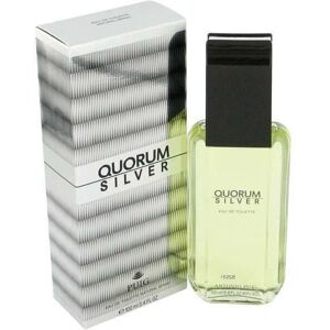 Puig Quorum Silver Eau de Toilette - Fresh Woody Scent - 100ml Puig Quorum Silver Eau de Toilette - Fresh Woody Scent - 100ml