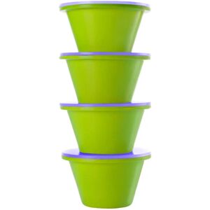 Ibili Set van 4 flan-vormen met deksel - Groen - Bakvormen Ibili Set van 4 flan-vormen met deksel - Groen - Bakvormen