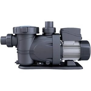GRE PP202 Self-priming Centrifugal Pump - Built-in Pre-filter - Clear Lid - 2 HP GRE PP202 Self-priming Centrifugal Pump - Built-in Pre-filter - Clear Lid - 2 HP