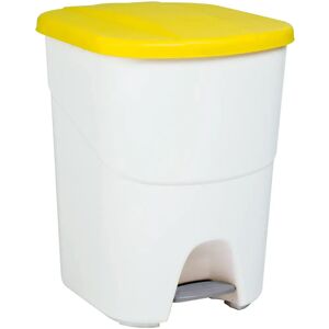 Denox Pedal Bin 40L Ecoestilo - Cubo de Reciclaje con 2 Compartimentos Denox Pedal Bin 40L Ecoestilo - Cubo de Reciclaje con 2 Compartimentos