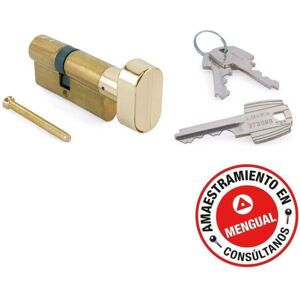 Tesa Assa Abloy Cilindro Tesa 5030 Níquel - Cerradura Segura para Madera Tesa Assa Abloy Cilindro Tesa 5030 Níquel - Cerradura Segura para Madera